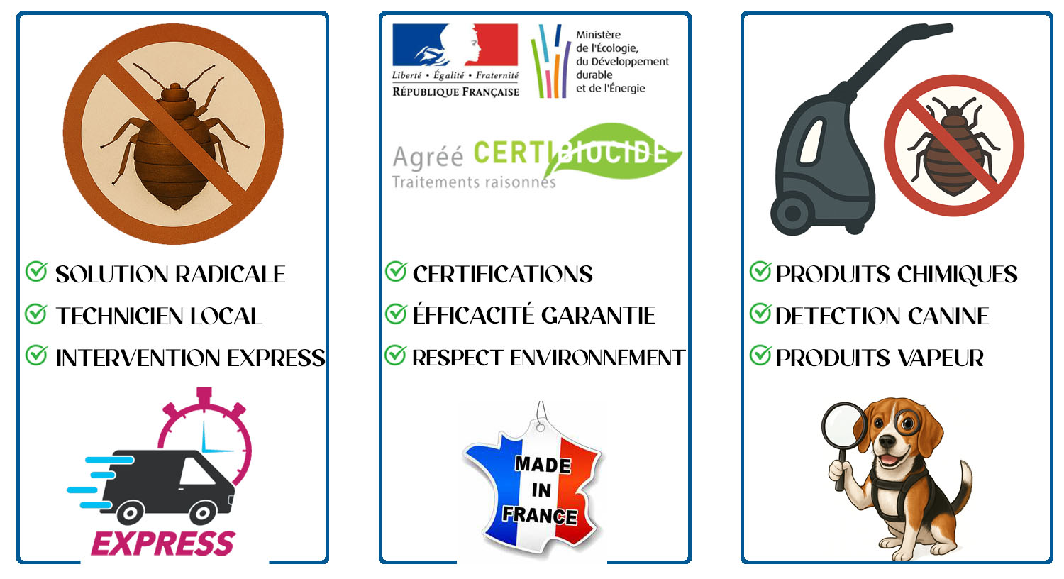 Punaises de Lit Asnières sur Seine